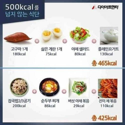 500칼로리를 넘지 않는다는 식단.jpg