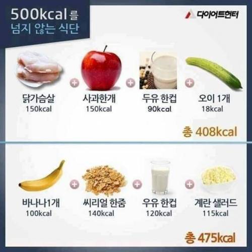 500칼로리를 넘지 않는다는 식단.jpg