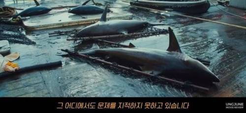 [스압] 환경단체들이 숨기는 바다오염의 진실
