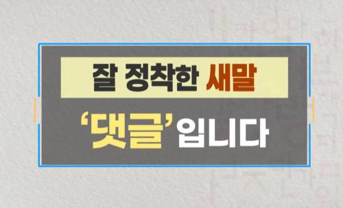 국립국어원의 성공작품