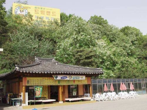 [스압] 서울특별시 강북구 번동 드림랜드의 옛 모습.jpg