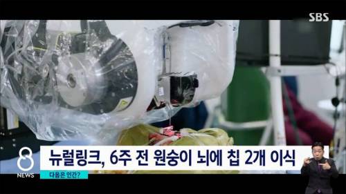 일론 머스크 근황 .mp4