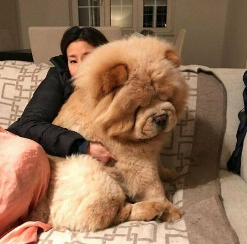 [스압] 본인이 얼마나 큰지 알지 못함.jpg