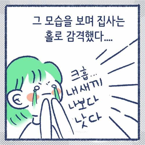 어른냥이가 아깽이가 너무 작아서 봐주는.manhwa