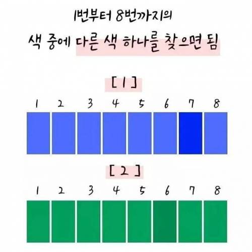 다음 중 다른 색 하나를 찾으시오.jpg