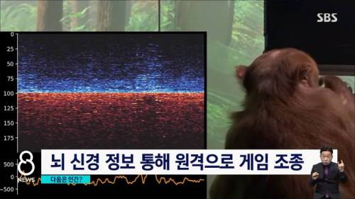 일론 머스크 근황 .mp4