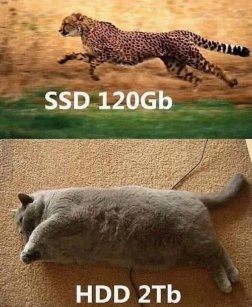 SSD vs HDD.jpg