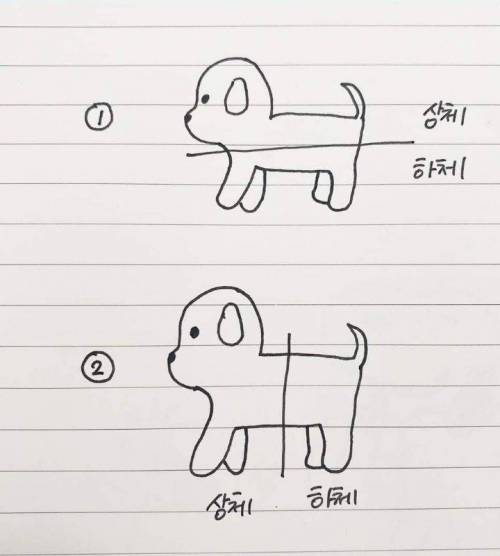 댕댕이의 상하체.jpg