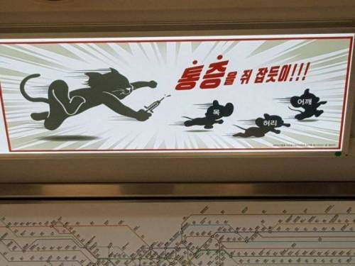 하나도 못 잡을 것 같음.jpg