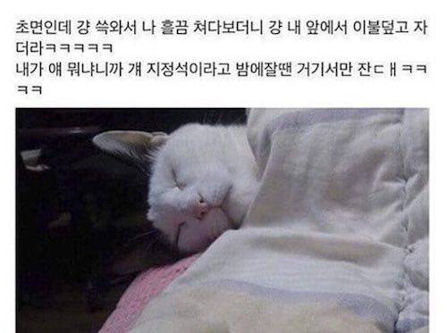 친구네 집에 놀러가서 당황했던거