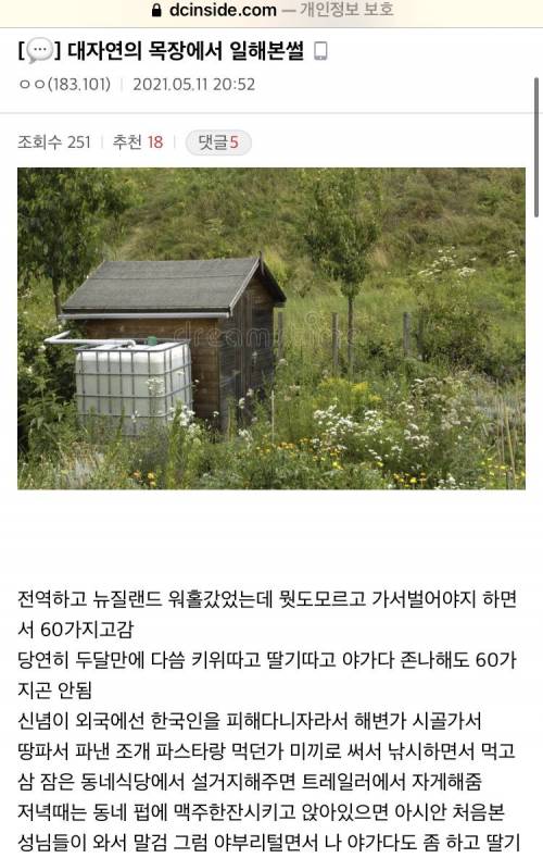 디씨인의 워킹홀리데이.jpg