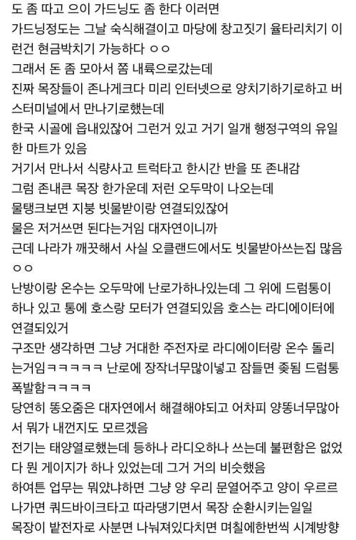 디씨인의 워킹홀리데이.jpg