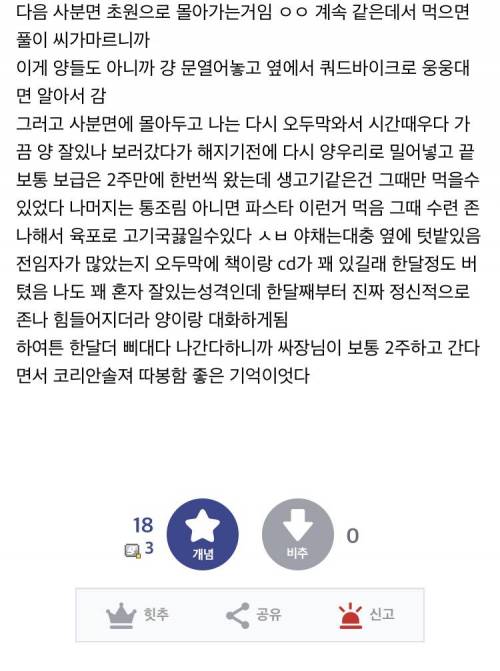 디씨인의 워킹홀리데이.jpg