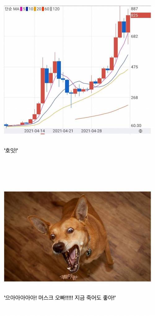 [스압] 나는 코인의 지배자다!.jpg