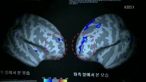 과학자들이 밝힌 공부 잘하는 애들 특징.jpg