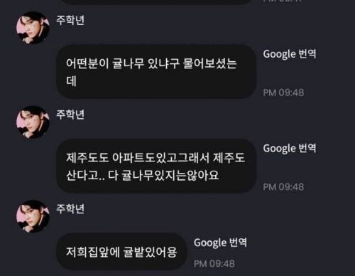 편견을 대하는 제주도인의 팩트.jpg