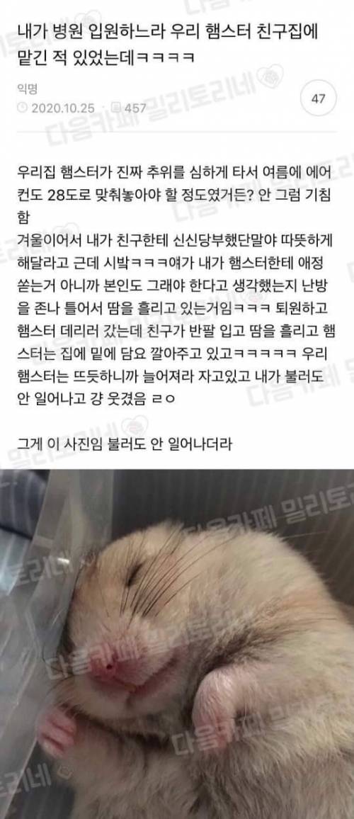 내가 병원 입원하느라 우리 햄스터 친구집에 맡긴적 있었는데