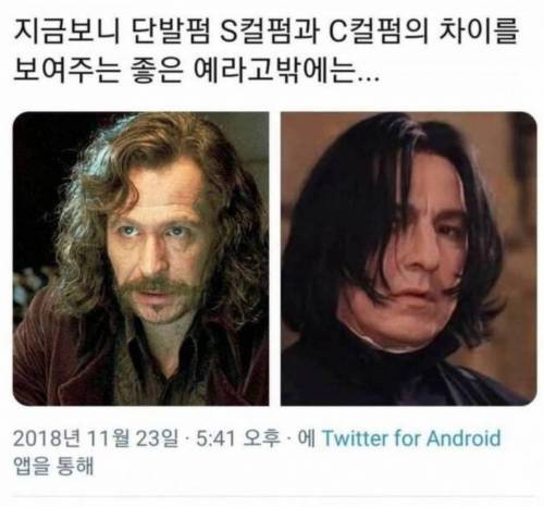 해리포터로 보는 S컬펌과 C컬펌 차이