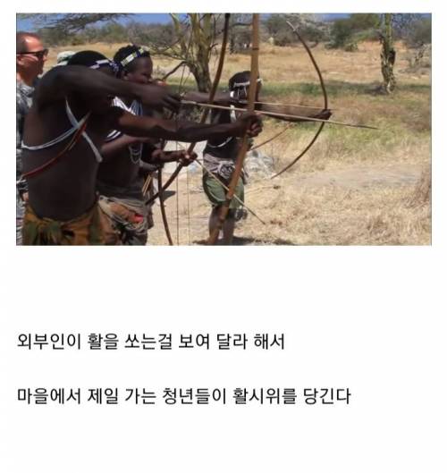 [스압] 원시부족에게 현대 활을 전수.jpg