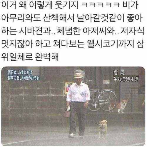 진정한 견주의 모습.jpg