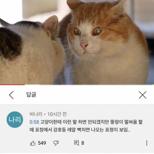 강호동이 레알 빡치면 나오는 표정.jpg