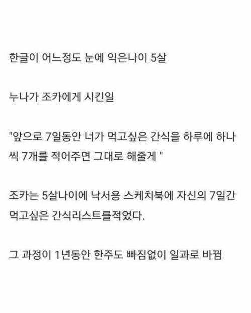 특이점이 온 누나의 자식교육..jpg