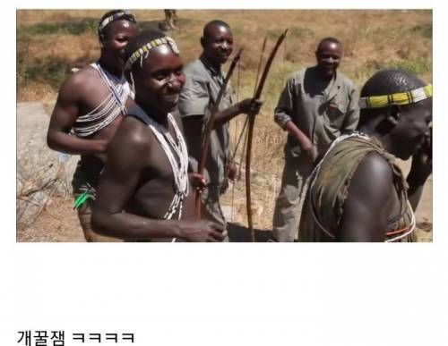 [스압] 원시부족에게 현대 활을 전수.jpg