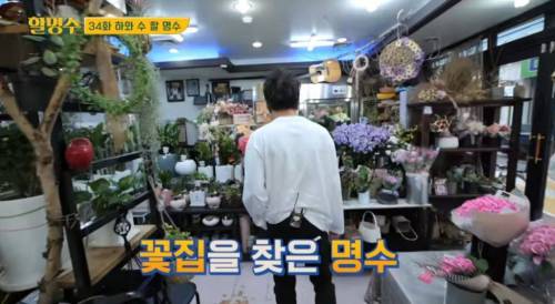 [스압] 박명수가 오랜만에 만난 정준하에게 선물한 꽃의 꽃말