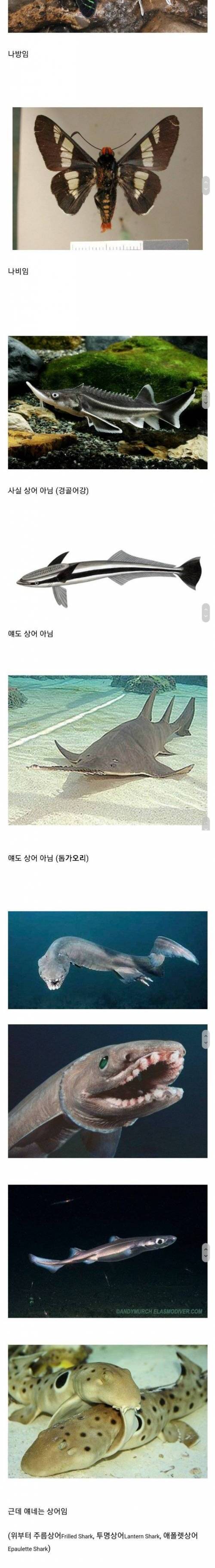 [스압] 알쓸동잡.jpg