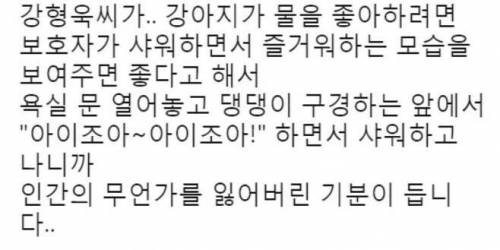 강아지가 물을 좋아하게 하는 방법