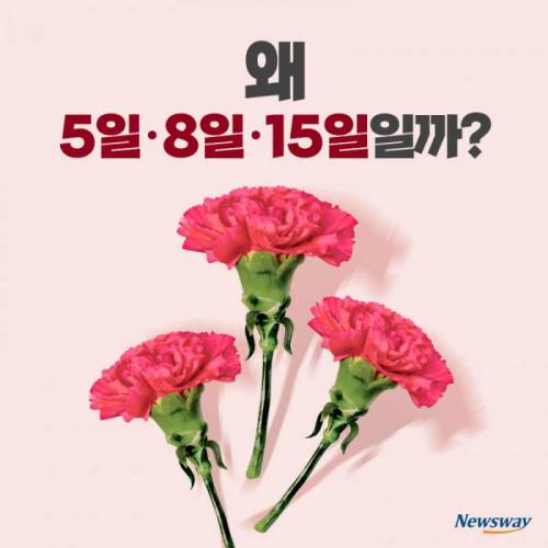 왜 5일·8일·15일일까?