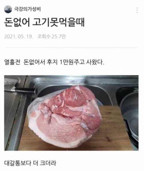 [스압] 돈없어서 고기 못먹을때...jpg