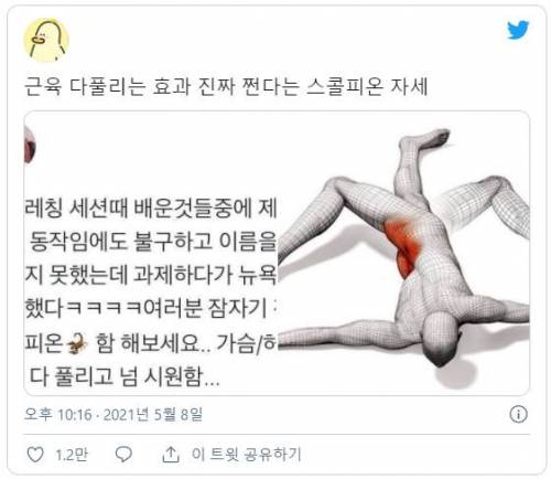 근육 푸는데 좋은 자세.jpg