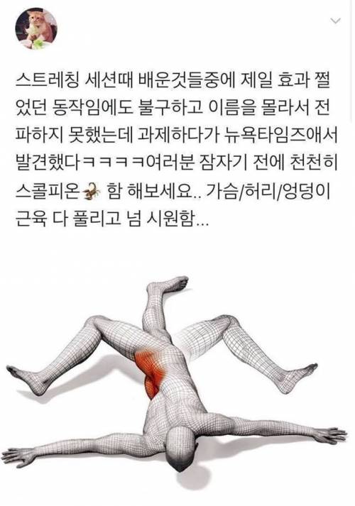 근육 푸는데 좋은 자세.jpg