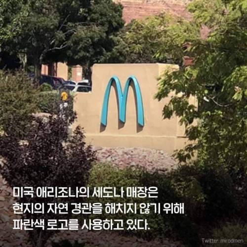 전 세계에서 유일한 블루 맥도날드.jpg