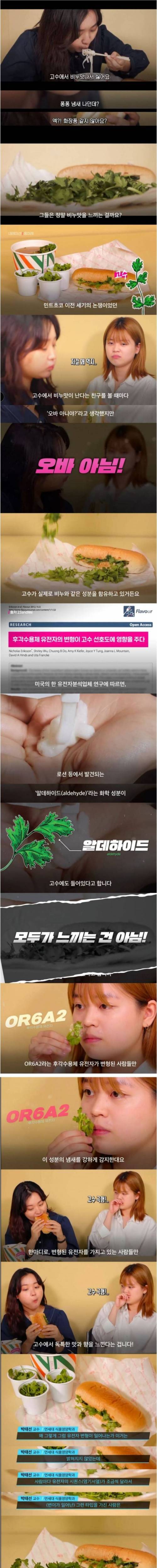 [스압] 고수를 역겹다고 생각하는 사람들이 존재하는 이유.jpg