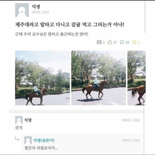 제주대라고 말타고 다니지는 않음.jpg