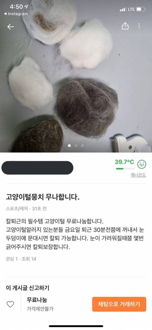 획기적인 당근 무료 나눔..jpg