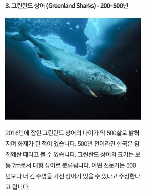 죽지 않고 영원히 사는 생물.jpg