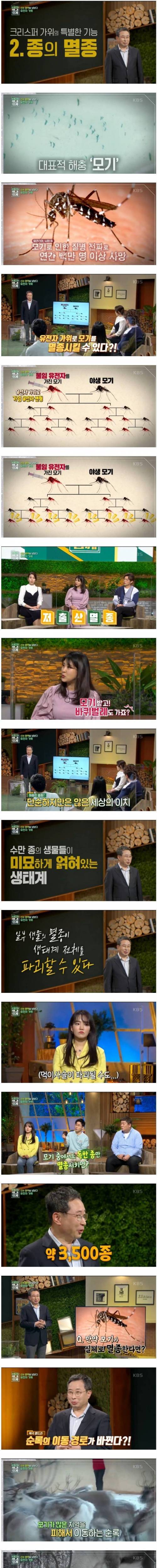 [스압] 모기를 멸종시키면 발생하는 상황.jpg