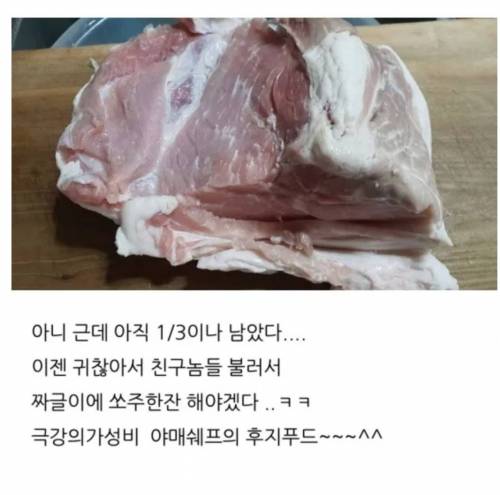 [스압] 돈없어서 고기 못먹을때...jpg