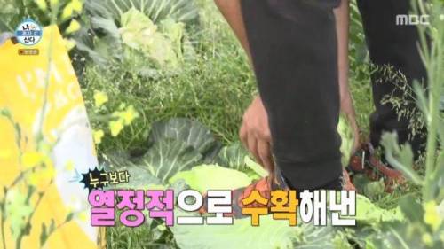 [스압] 양파 주워 먹다 죽을 뻔한 곽도원.jpg