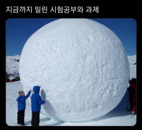 지금까지 밀려있는 시험공부와 과제.jpg