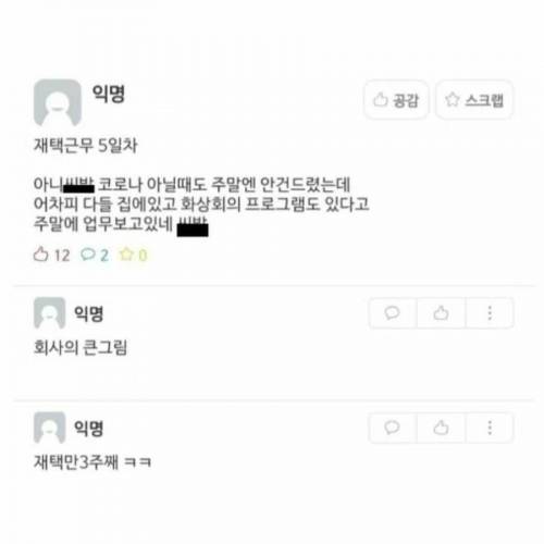 8일간의 재택근무