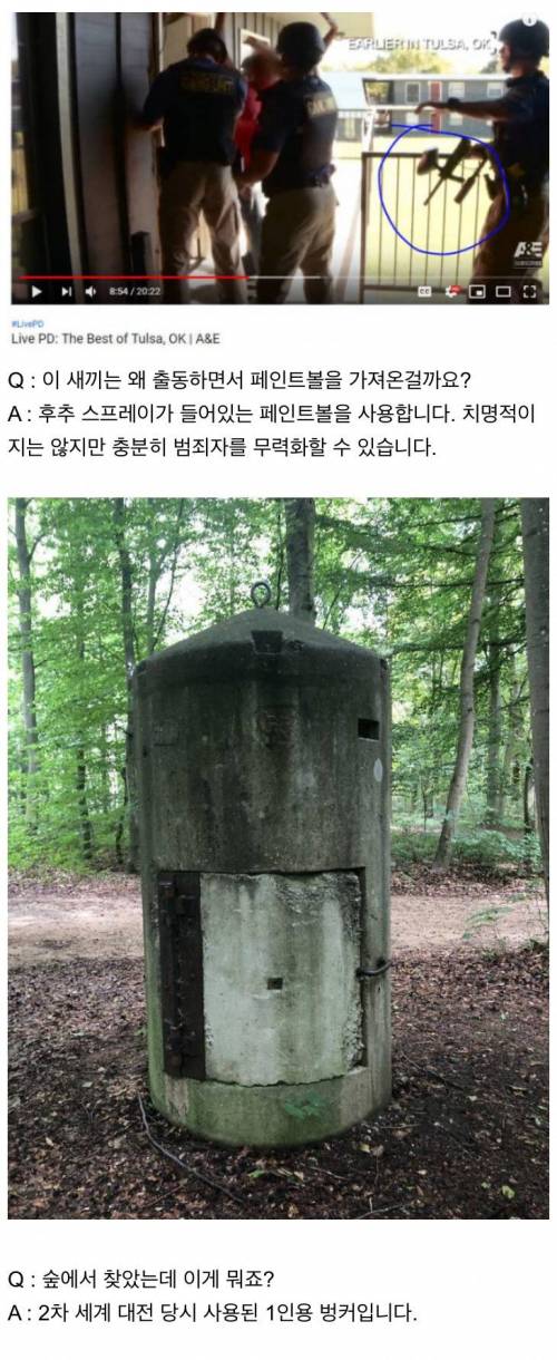 [스압] 인터넷은 모든 걸 알고 있다.jpg