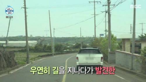 [스압] 양파 주워 먹다 죽을 뻔한 곽도원.jpg