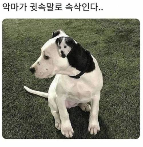 악마가 귓속말로 속삭인다..피