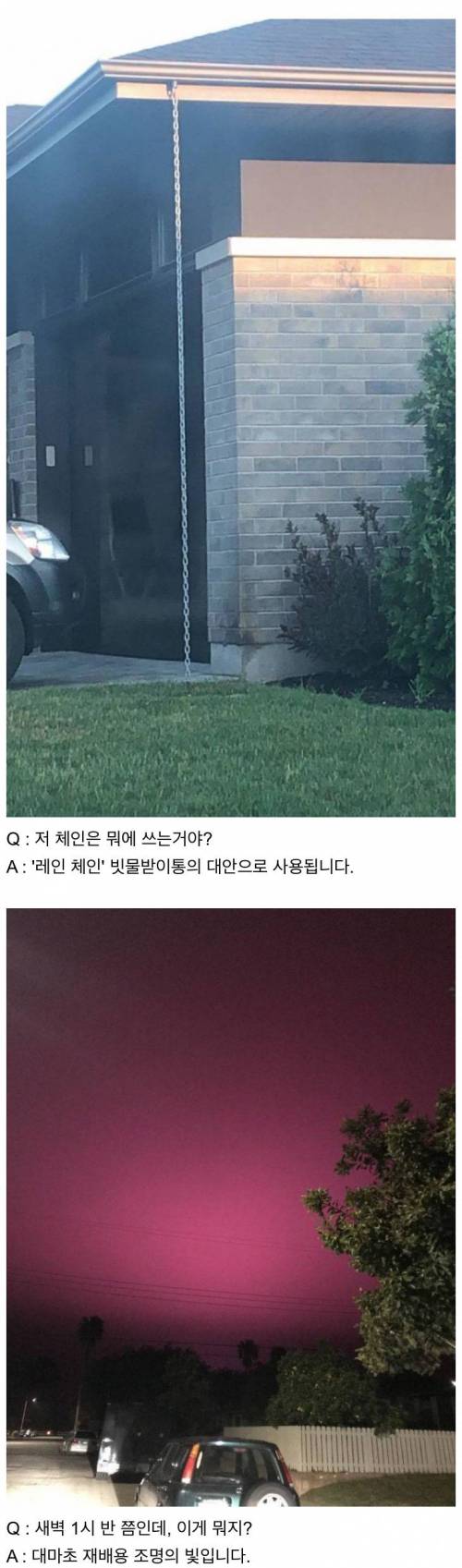 [스압] 인터넷은 모든 걸 알고 있다.jpg