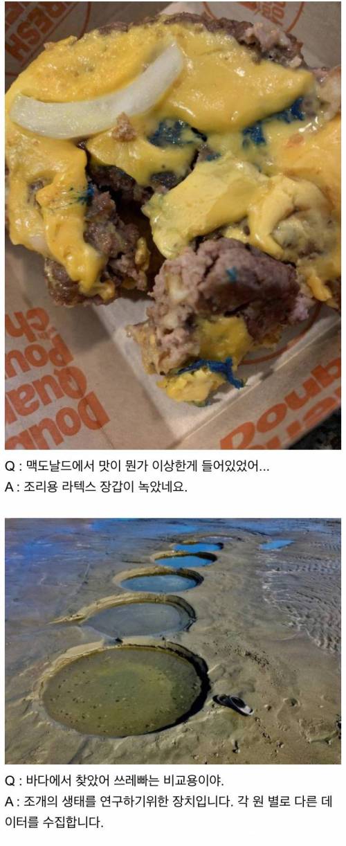 [스압] 인터넷은 모든 걸 알고 있다.jpg