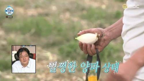 [스압] 양파 주워 먹다 죽을 뻔한 곽도원.jpg